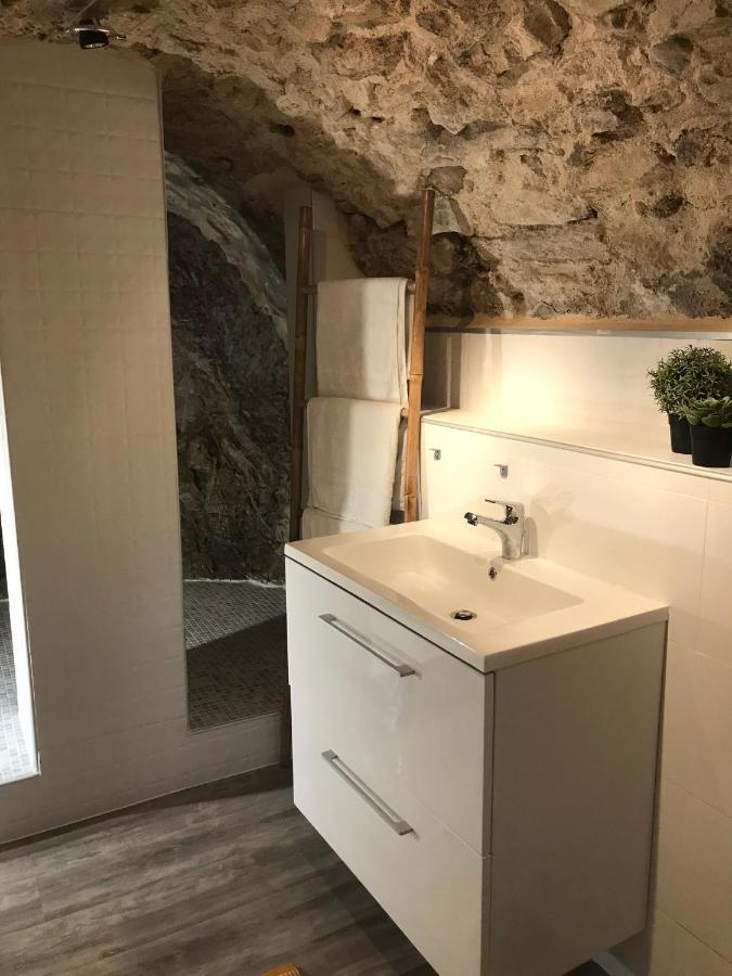 Appartement Cosy Le Balloon Avec Wifi Annonay Exterior foto